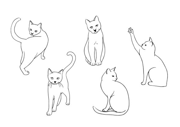 Cat Poseture Cartoon Doodle: Graphics & Illustrations Review